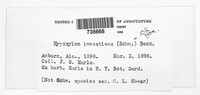 Hypoxylon investiens image